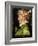 Spring, from a Series Depicting the Four Seasons, 1573-Giuseppe Arcimboldo-Framed Giclee Print