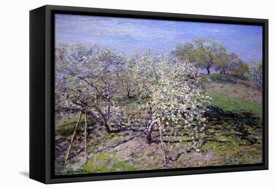 Spring Fruit Tees in Bloom-Claude Monet-Framed Stretched Canvas