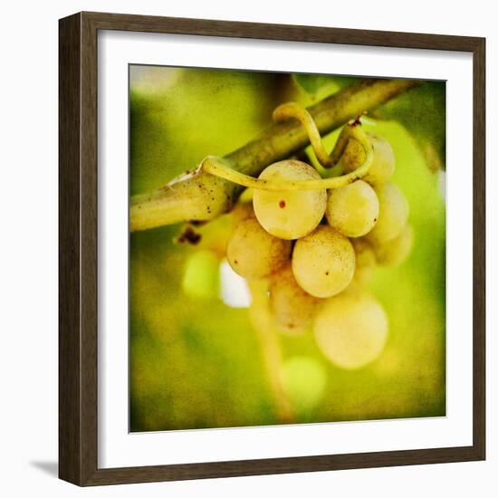 Spring Fruit-Jessica Rogers-Framed Giclee Print