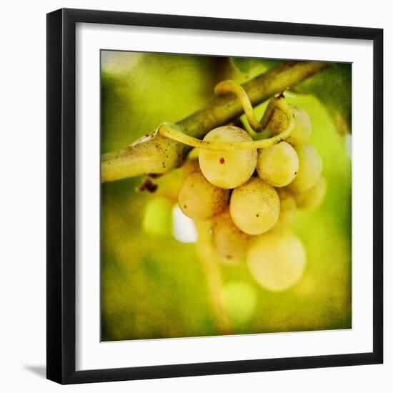 Spring Fruit-Jessica Rogers-Framed Giclee Print