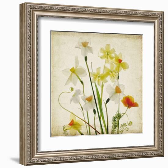 Spring Garden I-Judy Stalus-Framed Art Print