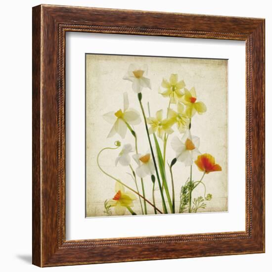 Spring Garden I-Judy Stalus-Framed Art Print