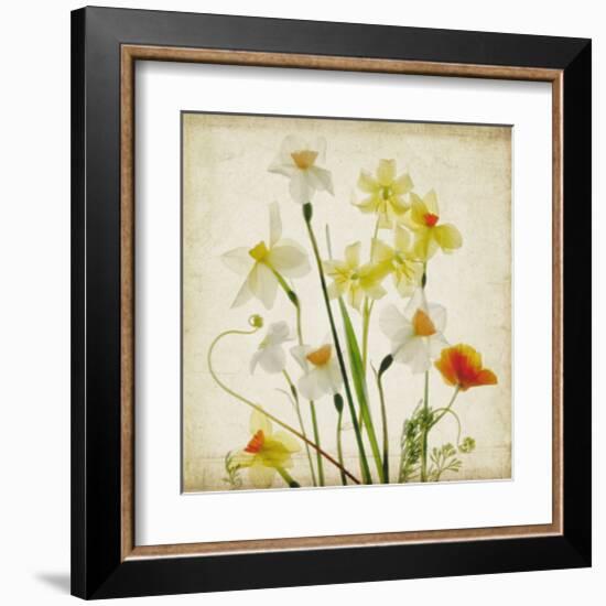 Spring Garden I-Judy Stalus-Framed Art Print