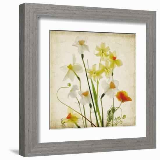 Spring Garden I-Judy Stalus-Framed Art Print