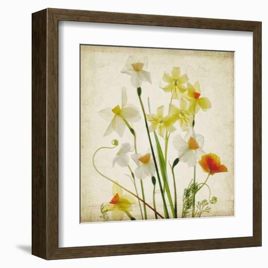 Spring Garden I-Judy Stalus-Framed Art Print