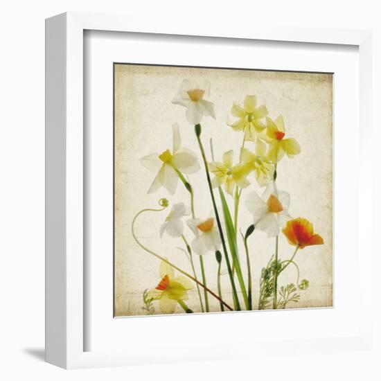 Spring Garden I-Judy Stalus-Framed Art Print