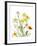 Spring Garden II-Judy Stalus-Framed Premium Giclee Print