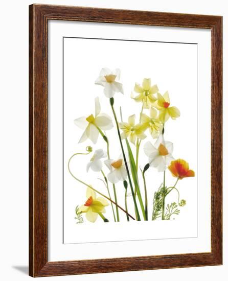 Spring Garden II-Judy Stalus-Framed Premium Giclee Print