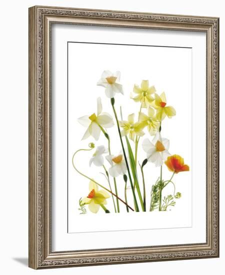 Spring Garden II-Judy Stalus-Framed Art Print