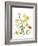 Spring Garden II-Judy Stalus-Framed Art Print