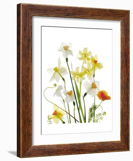 Spring Garden II-Judy Stalus-Framed Art Print