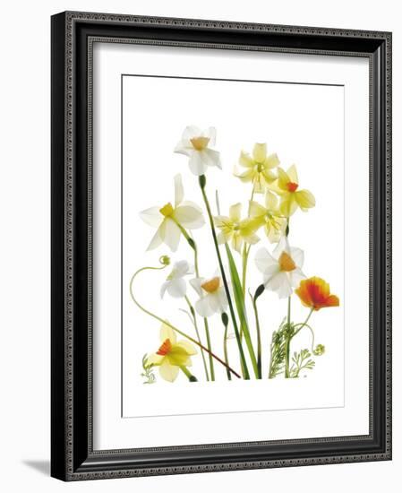 Spring Garden II-Judy Stalus-Framed Art Print