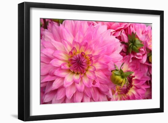 Spring Garden II-Maureen Love-Framed Photographic Print