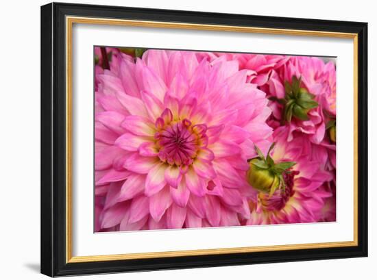 Spring Garden II-Maureen Love-Framed Photographic Print