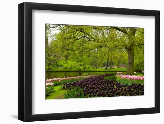Spring Garden in Keukenhof, Holland-neirfy-Framed Photographic Print