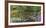 Spring Garden Landscape-Anna Miller-Framed Photographic Print