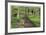 Spring Garden Path-Donald Paulson-Framed Giclee Print