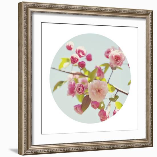 Spring Glow - Sphere-Irene Suchocki-Framed Giclee Print