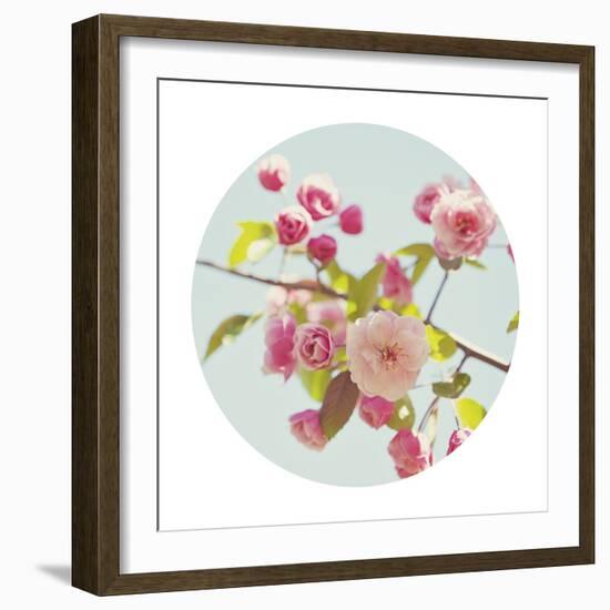 Spring Glow - Sphere-Irene Suchocki-Framed Giclee Print