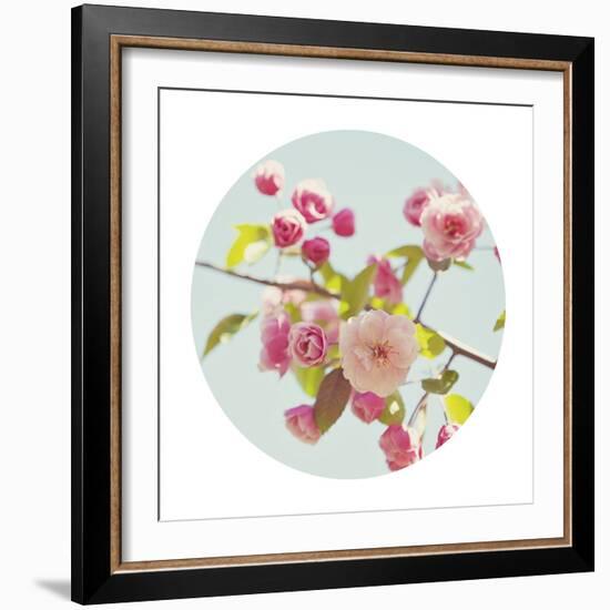 Spring Glow - Sphere-Irene Suchocki-Framed Giclee Print