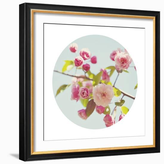 Spring Glow - Sphere-Irene Suchocki-Framed Giclee Print