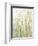 Spring Grasses I Crop-Avery Tillmon-Framed Art Print