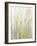 Spring Grasses I Crop-Avery Tillmon-Framed Art Print