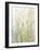 Spring Grasses I Crop-Avery Tillmon-Framed Art Print