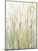 Spring Grasses I Crop-Avery Tillmon-Mounted Art Print