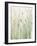 Spring Grasses II Crop-Avery Tillmon-Framed Art Print