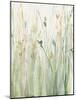 Spring Grasses II Crop-Avery Tillmon-Mounted Art Print