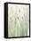 Spring Grasses II Crop-Avery Tillmon-Framed Stretched Canvas