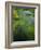 Spring Grasses in Calm Stream, Yellowstone National Park, Wyoming, USA-Jerry Ginsberg-Framed Photographic Print