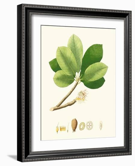 Spring Green Foliage II-Unknown-Framed Art Print