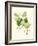 Spring Green Foliage IV-Unknown-Framed Art Print