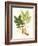 Spring Green Foliage IX-Unknown-Framed Art Print