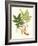 Spring Green Foliage IX-Unknown-Framed Art Print