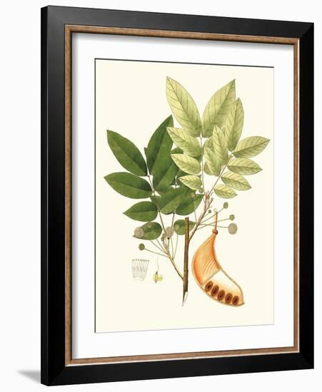 Spring Green Foliage IX-Unknown-Framed Art Print