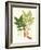 Spring Green Foliage IX-Unknown-Framed Art Print