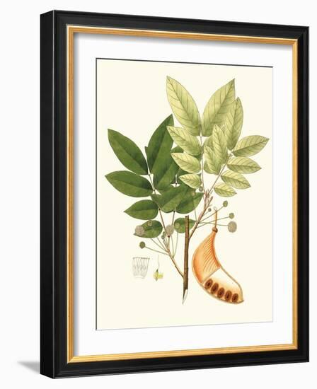 Spring Green Foliage IX-Unknown-Framed Art Print