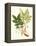 Spring Green Foliage IX-Unknown-Framed Stretched Canvas