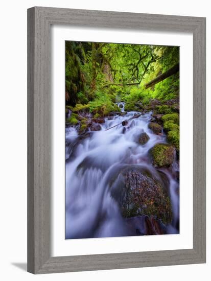 Spring Green Within the Columbia River Gorge, Oregon-Vincent James-Framed Photographic Print