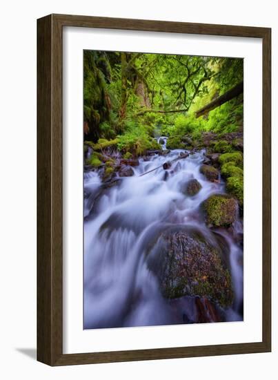 Spring Green Within the Columbia River Gorge, Oregon-Vincent James-Framed Photographic Print