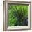 Spring Green-Ursula Abresch-Framed Photographic Print