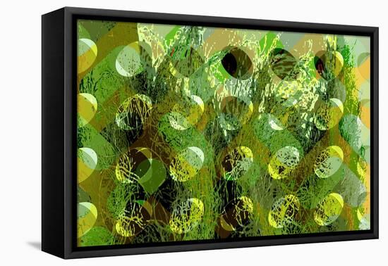 Spring Green-Scott J. Davis-Framed Premier Image Canvas