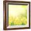 Spring Growing Daffodils in Garden-neirfy-Framed Art Print