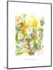 Spring has Sprung I-Jodi Fuchs-Mounted Art Print