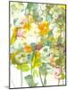 Spring has Sprung II-Jodi Fuchs-Mounted Art Print