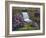 Spring Has Sprung-Bruce Dumas-Framed Giclee Print