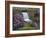 Spring Has Sprung-Bruce Dumas-Framed Giclee Print